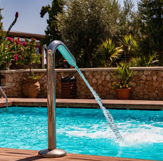 green-leafed trees during daytime