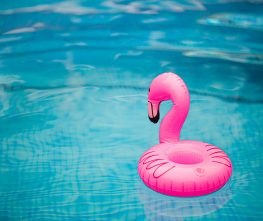 pink inflatable flamingo on water